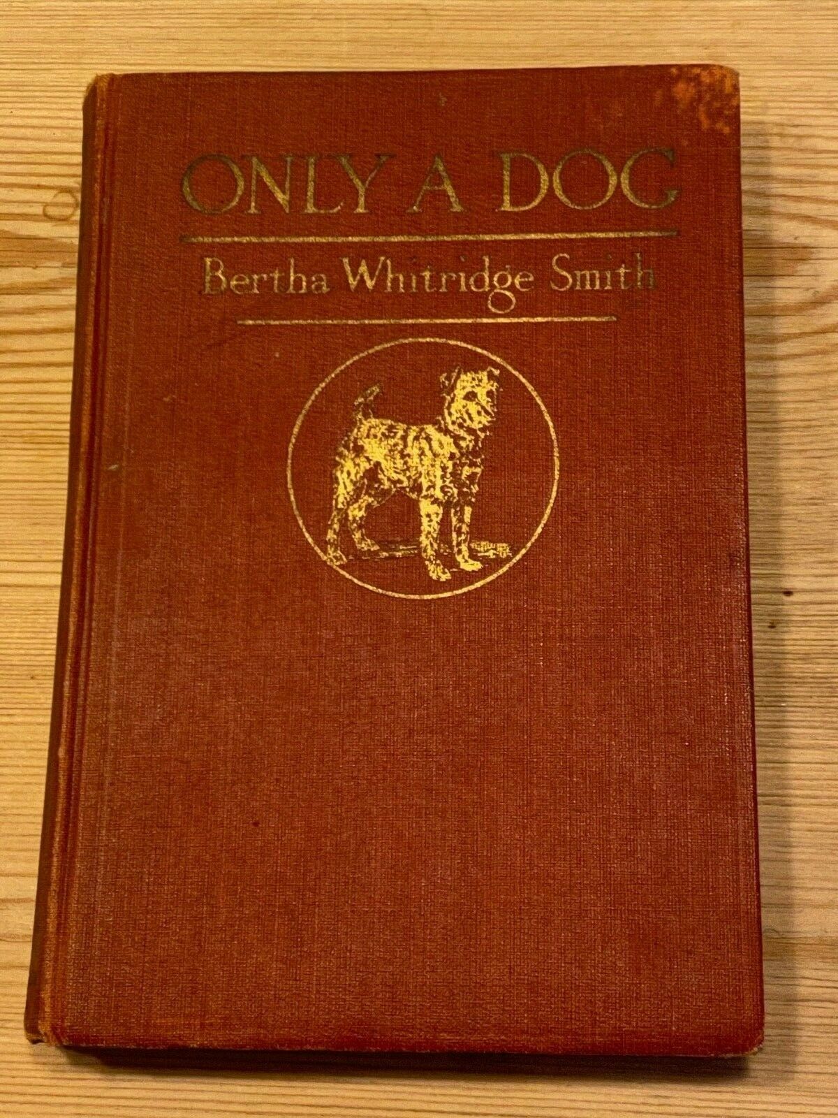Very Rare Irish Terrier Dog Story Book 1st 1917 "only A Dog" By Bertha Smith