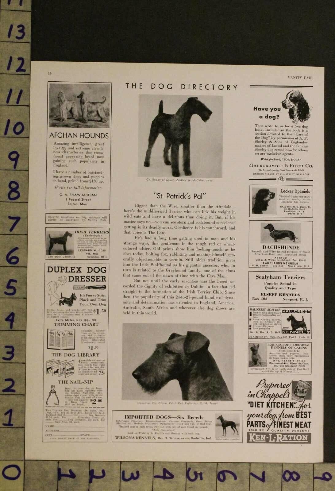 1934 Dog Canine Irish Terrier St Patrick Breeder 2-page Photo Ad Ru45